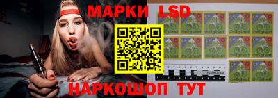 mdpv Бердск
