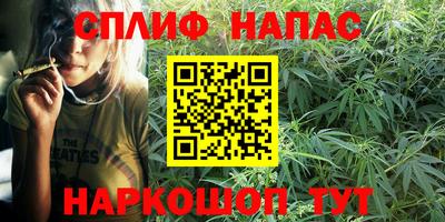 mdpv Бердск