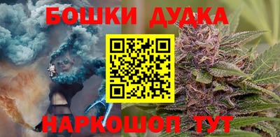 mdpv Бердск