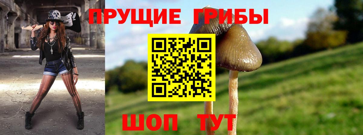 Саров  купить   Вход с VPN  Галлюциногенные грибы MAGIC MUSHROOMS 
